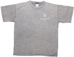 ZeusFit365 OverSized Shirt