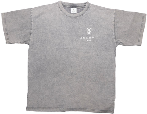 ZeusFit365 OverSized Shirt