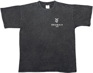 ZeusFit365 OverSized Shirt